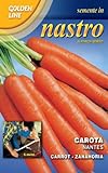 CAROTA NANTES IN NASTRO foto, bestseller 2024-2023 nuovo, miglior prezzo EUR 2,22 recensione