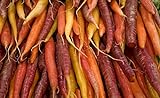 Mix di varieta multicolore di carote - NASTRO DI SEMI - 7 m di nastro di semi foto, bestseller 2024-2023 nuovo, miglior prezzo  recensione