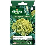 Vilmorin - Cavolo Broccolo Romanesco precoce foto, bestseller 2024-2023 nuovo, miglior prezzo  recensione