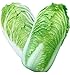 foto KINGDUO Semi di Cavolo Delizioso Cinese di 100Pcs Nutriente Verde Verdura Semi di Brassica Piante Giardino nuovo bestseller 2024-2023