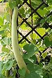 Semi di zucca serpente - Lagenaria siceraria - 24 semi - 24 semi foto, bestseller 2024-2023 nuovo, miglior prezzo  recensione