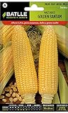 Semi ortaggi di Batlle - Mais Dolce Golden Bantam (48-72 Seeds) foto, bestseller 2024-2023 nuovo, miglior prezzo EUR 4,00 recensione