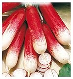 600 C.ca Semi Ravanello Mezzo Lungo Rosso A Punta Bianca 2 - Raphanus sativus In Confezione Originale Prodotto in Italia - Ravanelli lunghi foto, bestseller 2024-2023 nuovo, miglior prezzo EUR 7,40 recensione