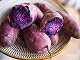 Shoopy Star 200 pezzi semi di patate dolci viola semi di yam semi di giardino e semi di ortaggi foto, bestseller 2024-2023 nuovo, miglior prezzo  recensione