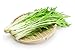 foto Mizuna, semi di senape giapponesi - Brassica rapa nipposinica nuovo bestseller 2024-2023