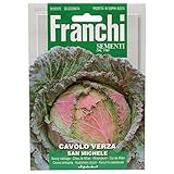 Franchi Sementi - Cavolo Verza San Michele foto, bestseller 2024-2023 nuovo, miglior prezzo EUR 2,61 recensione