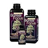 Bonsai Focus 1L - Growth Technology foto, bestseller 2024-2023 nuovo, miglior prezzo EUR 7,25 recensione
