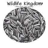 Wildlife Kingdom - Semi di girasole striati di alta qualità, adatti come cibo per i pappagalli parrocchetto, mangime energetico per uccelli selvatici✔ foto, bestseller 2024-2023 nuovo, miglior prezzo EUR 19,95 recensione