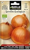 Semi Ecologici - Cipolla Gialla di Parma (210 Seeds - Bio) foto, bestseller 2024-2023 nuovo, miglior prezzo EUR 3,90 recensione