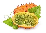 Kiwano, semi di melone cornuto - Cucumis metuliferus - 13 semi - 13 semi foto, bestseller 2024-2023 nuovo, miglior prezzo  recensione