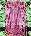 foto Pinkdose 20 pc/sacchetto cinese lungo fagioli Vigna unguiculata Semi, lungo Podded Cowpea Bean Snake Vegetable Seeds, Giardino lunghe Semini di fagiolo: 4 nuovo bestseller 2024-2023