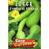 Vivai Le Georgiche Zucca Tromba Di Albenga (Semente) foto, bestseller 2024-2023 nuovo, miglior prezzo EUR 3,90 recensione