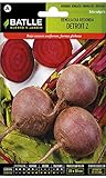Semi Ortaggi Di Batlle - Barbabietola Detroit 2 (500 Seeds) foto, bestseller 2024-2023 nuovo, miglior prezzo EUR 5,21 recensione