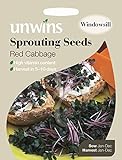 Unwins, pacco illustrato con 3000 semi germogliati di cavolo rosso foto, bestseller 2024-2023 nuovo, miglior prezzo EUR 1,66 recensione