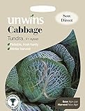 Unwins Pictorial pacco – cavolo Tundra F1 – 45 semi foto, bestseller 2024-2023 nuovo, miglior prezzo EUR 3,32 recensione