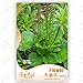 foto Garden Chinese semi di cavolo verdure, 10g / sacchetto del bambino cibo home & garden Semi di piante nuovo bestseller 2024-2023