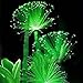 foto WuWxiuzhzhuo 100pcs rare smeraldo fluorescente semi di fiori, luce notturna che emettono piante da giardino 1 nuovo bestseller 2024-2023