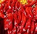 foto Semi di peperoncino Rokita - Capsicum annuum nuovo bestseller 2024-2023