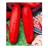 10pcs / lot Red cetriolo semi deliziose verdure delle piante da frutto BonsaïPianta foto, bestseller 2024-2023 nuovo, miglior prezzo EUR 10,99 recensione