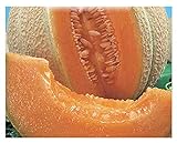 150 C.ca Semi Melone Top Mark - Cucumis Melo In Confezione Originale Prodotto in Italia - Meloni foto, bestseller 2024-2023 nuovo, miglior prezzo EUR 7,40 recensione