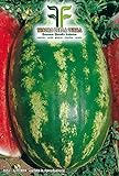 35 C.ca Semi Anguria Classic Sweet - Citrullus lanatus In Confezione Originale Prodotto in Italia - Angurie foto, bestseller 2024-2023 nuovo, miglior prezzo EUR 7,40 recensione