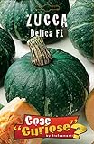 Portal Cool Zucca Delica F1 1 pacchetto semina 1 confezione di semi di zucca foto, bestseller 2024-2023 nuovo, miglior prezzo EUR 9,99 recensione