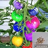 BigFamily 100Pcs Semi di pomodoro arcobaleno Semi di verdure bonsai colorati Home Garden Decor foto, bestseller 2024-2023 nuovo, miglior prezzo EUR 3,98 recensione