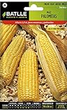 Battle - Semi Aromatici Mais per Pop Corn (Semi - 180Cm) foto, bestseller 2024-2023 nuovo, miglior prezzo EUR 5,32 recensione