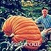foto 20Pcs Super grandi semi di zucca vegetali non OGM giardino di casa fai da te bonsai dono di semi di zucca gigante commestibile per gli impianti di divertimento di Halloween nuovo bestseller 2024-2023