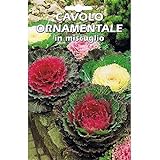 Vivai Le Georgiche Cavolo Ornamentale In Miscuglio (Semente) foto, bestseller 2024-2023 nuovo, miglior prezzo EUR 4,90 recensione