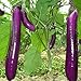 foto Rosepoem Adatto per piantare fattoria o casa Semi di melanzana viola lunga alta produzione 150PCS nuovo bestseller 2024-2023