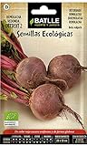 Battle - Semi Ecologici Barbabietola Detroit 2 (125 Semi- Bio) foto, bestseller 2024-2023 nuovo, miglior prezzo EUR 7,96 recensione
