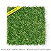 foto Leoturf LEO30 Premium erba artificiale di alta qualità 30mm / Altezza 30mm/ 100% Confezionamento Europeo/Combinazione di 4 fili colorati TENCATE GRASS/Rotolo di 1M X 5M. nuovo bestseller 2024-2023
