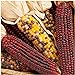 foto KINGDUO Egrow 10Pcs/Pack Mix Colore Mais Semi Frutta Semi Vegetali Giardino Decorazione Bonsai Pianta nuovo bestseller 2024-2023