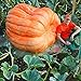 foto Gfone 20pcs / bag semi di zucca semi di zucca gigante di Halloween giardino domestico nuovo bestseller 2024-2023