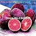 foto Shopmeeko 100 pz di Alta qualitÃ  Piante di Patate Rare No OGM Viola Rosso Patate Frutta e Verdura Piante per la casa Jardin Piante fioriere: Rosso nuovo bestseller 2024-2023