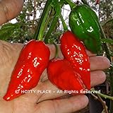 NAGA MORICH (Bangladesh) 10 SEMI PURI peperoncino Re Cobra piccante pungente foto, bestseller 2024-2023 nuovo, miglior prezzo EUR 4,89 recensione