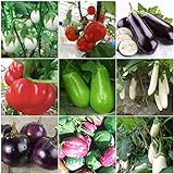 Plentree Green Eggplant 30 semi: Heirloom Orto Melanzana semi non OGM Seeds Bianco sopravvivenza organici foto, bestseller 2024-2023 nuovo, miglior prezzo  recensione