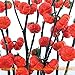 foto Pinkdose Rare russi semi di zucca melanzane, 100 semi/pacchetto, semi di Heirloom Solanum ornamentali melanzane nuovo bestseller 2024-2023