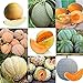 foto Portal Cool 11: 20 Pz/borsa Semi di melone Delicious Melone Seeds Home Garden Plants Btl8 nuovo bestseller 2024-2023