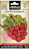 Battle - Semi Ecologici Ravanello Rotondo Rosso Saxa (120 Semi - Bio) foto, bestseller 2024-2023 nuovo, miglior prezzo EUR 7,92 recensione