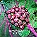 foto 200pc semi viola melanzana. Naturale sementi di ortaggi verdi. il ricco giardino piantato Semplice nuovo bestseller 2024-2023