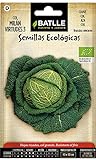Battle - Semi Ecologici Verza di Milano 3 (225 Semi - Bio) foto, bestseller 2024-2023 nuovo, miglior prezzo EUR 7,92 recensione