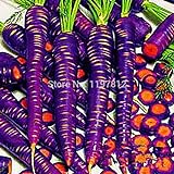 300PCS / bag Drago viola di semi di carota ginseng anti-aging nutriente Bonsai piante Semi per la casa e il giardino foto, bestseller 2024-2023 nuovo, miglior prezzo EUR 10,99 recensione