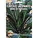 foto Vivai Le Georgiche Cavolo Laciniato Nero di Toscana (Semente) nuovo bestseller 2024-2023