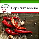 SAFLAX - Peperoncino di Cayenna - 20 semi - Con substrato - Capsicum annum foto, bestseller 2024-2023 nuovo, miglior prezzo EUR 4,45 recensione