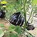 foto Go Garden Giant Black Beauty organico Melanzana di verdure, semi 100 semi/pacchetto, Frutta lucida Brinjaul annuali Nani Piante nuovo bestseller 2024-2023
