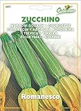 Hortus 56ZUC6431 Maxi Busta Ortovivo Zucchino Romanesco, 12x0.2x16.5 cm foto, bestseller 2024-2023 nuovo, miglior prezzo EUR 0,79 recensione