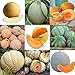 foto Portal Cool 07: 20 Pz/borsa Semi di melone Delicious Melone Seeds Home Garden Plants Rlwh 02 nuovo bestseller 2024-2023