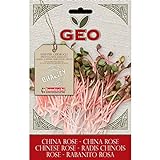 Geo China Rose Semi da Germoglio, Marrone, 12.7x0.7x20 cm foto, bestseller 2024-2023 nuovo, miglior prezzo EUR 12,73 recensione